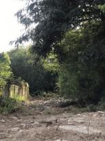 ��� ���Թ �Ⱥ�ŵӺ����ͧ��