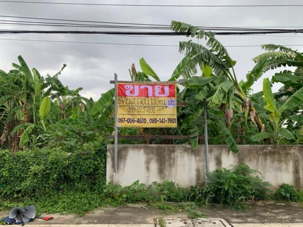 �ҧ�л� �� zionasset1