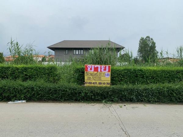 ���⢹� �� zionasset1