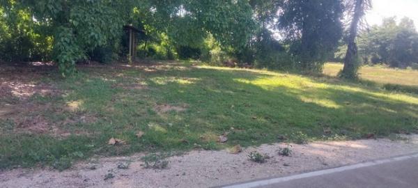 ����ӻҧ �� zionasset1