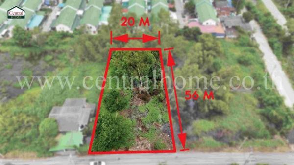 �����ҹ� �� central2