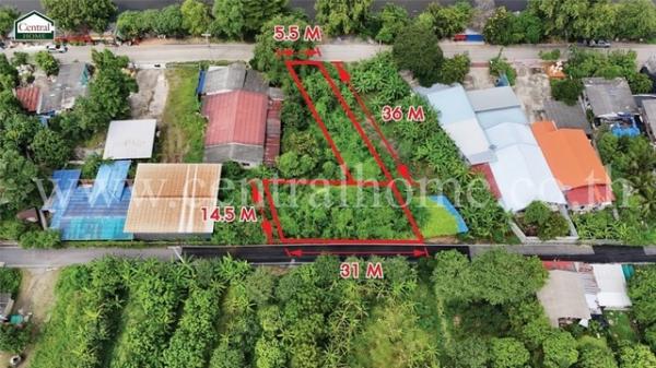 �����ҹ� �� central2