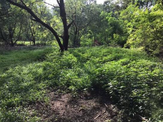 ����Ҫ���� �� Estate Corner