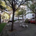 �͹� �ҧ�� 31 ���ҧ����