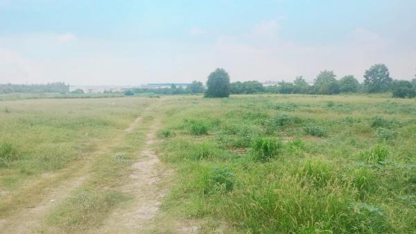 ����Ҫ� �� goodlada24