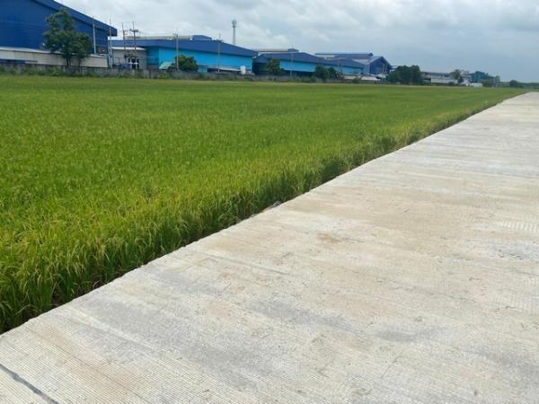 �Ҵ��кѧ �� Nan