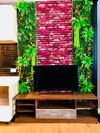 �͹� ���ͧ