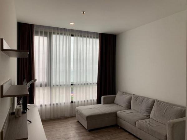 �ź��� �� kulchaya1