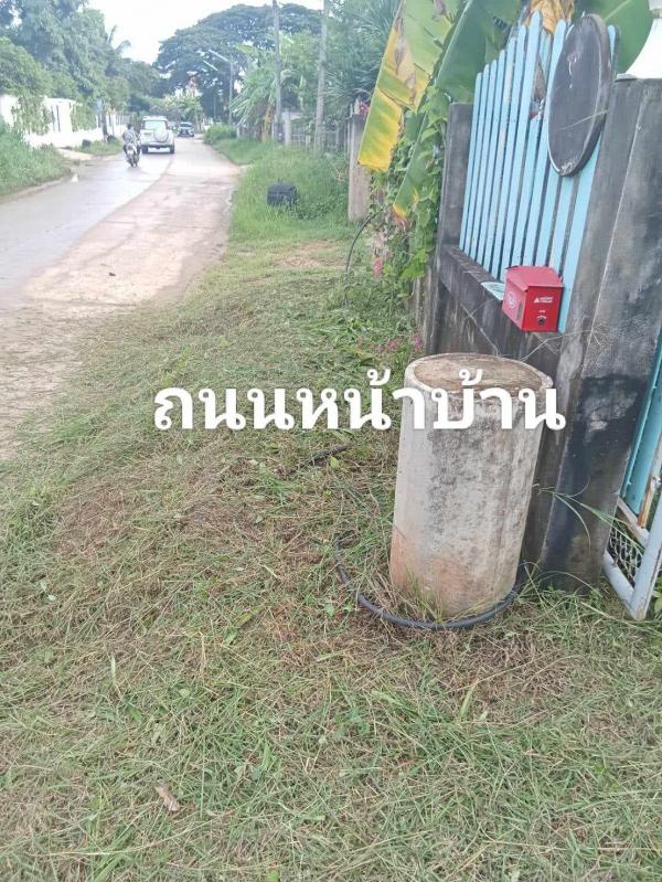 ที่ดิน ชัยภูมิ ที่ดิน ชัยภูมิ