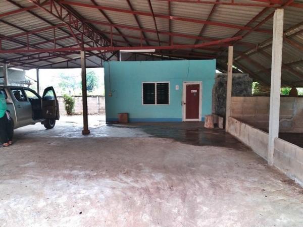 ��º�ҹ �ҧ ��§����