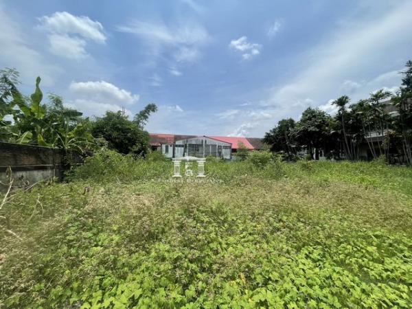 �ҧ�л� �� kulchaya1