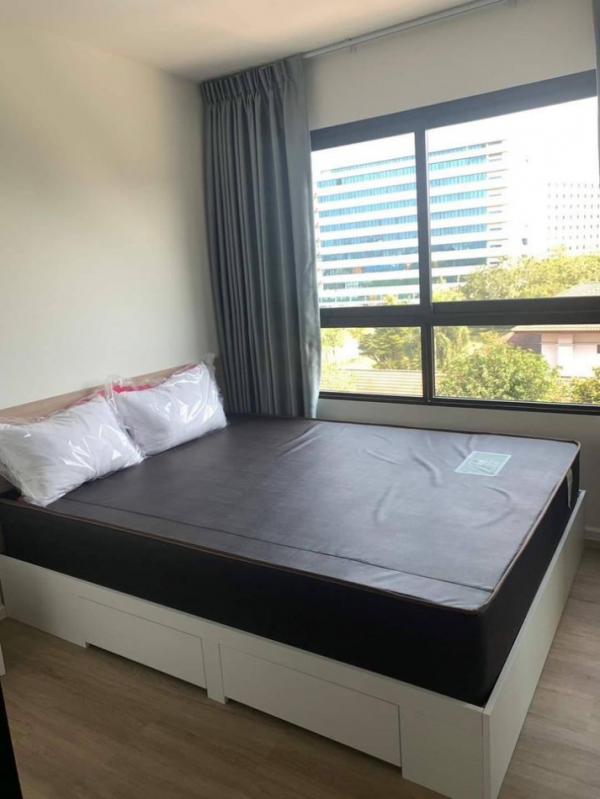 ���Ե �� PP9REALESTATE