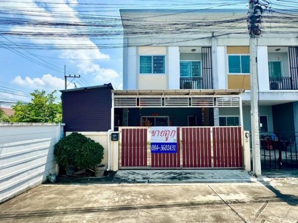 ��û�� �� sopa