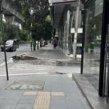 ������ �Ҥ�þҳԪ�� �Ѳ�� ��ا෾