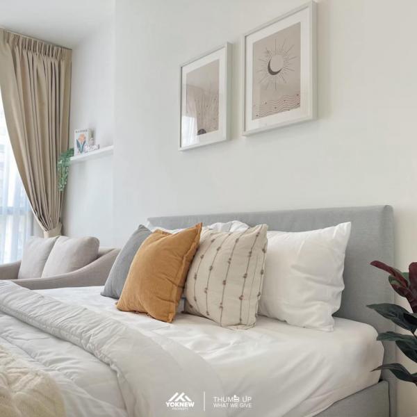 �ҧ�л� �� Yoknew Property