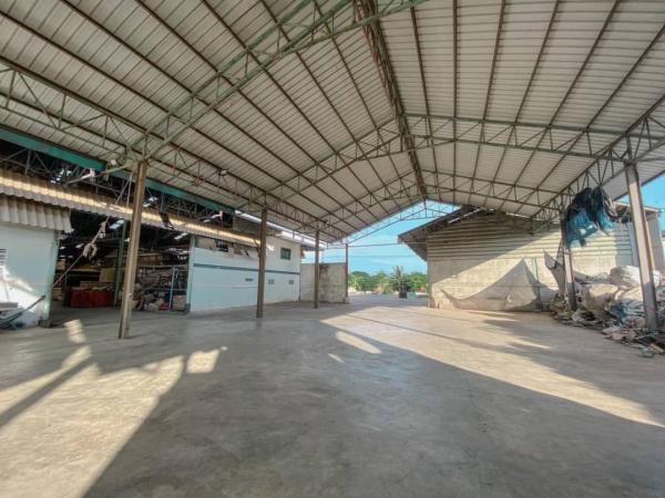 �����ҹ �� 1000property