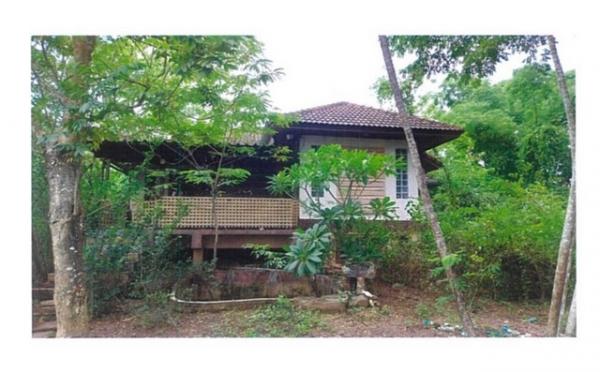 ��º�ҹ ����§ ��ҹ