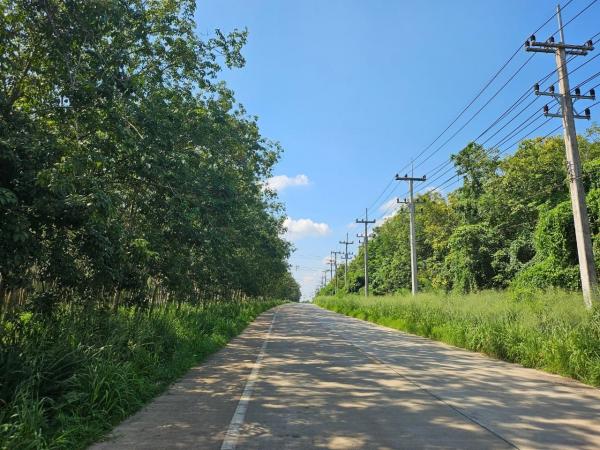 ���ʹԤ� �� goodlada24