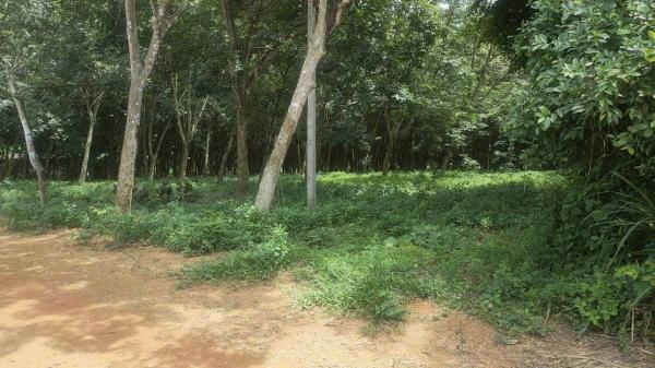 ˹ͧ�˭� �� goodlada24