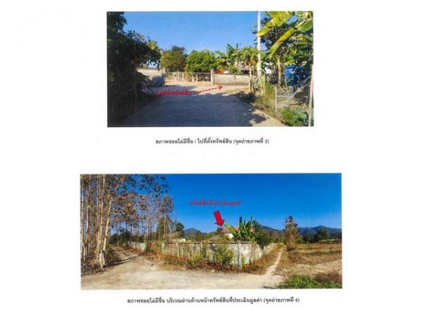 ��º�ҹ ��觪�ҧ ��ҹ