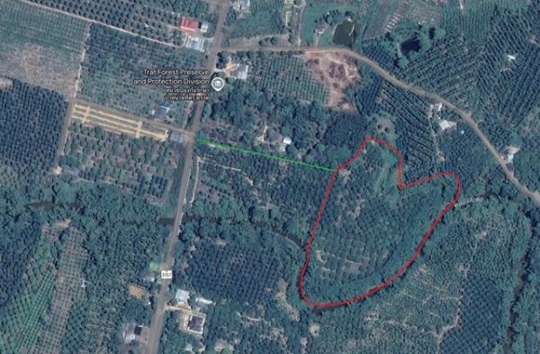 ��µ�Ҵ �� sopa