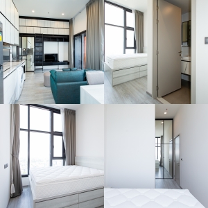 ���⢹� �� All Living