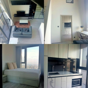 ���⢹� �� All Living