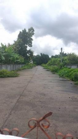 �ѹ��ᾧ �� onanong khumaphao