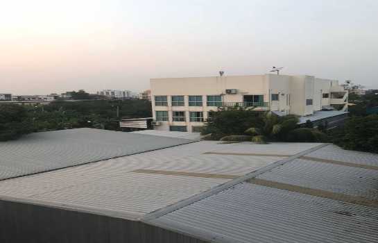 �س ��ѳ��