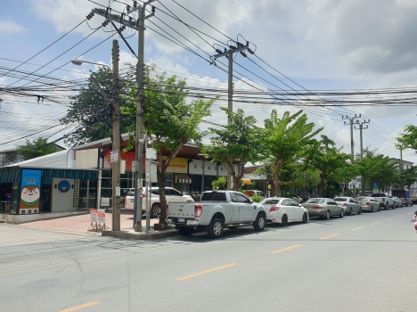 ��¸�áԨ �ҧ�ع��¹��ا෾