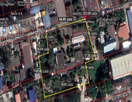 �ǹ��ǧ �� incube