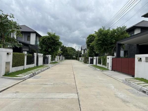 �ѹ����� �� ��ͼ��