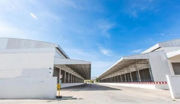 �ҧ�� �� kongpl