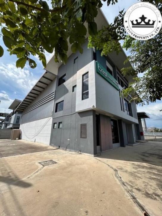 ���١�� �� sopa