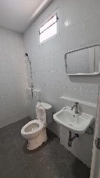 ⡴ѧ ��ͧ�����