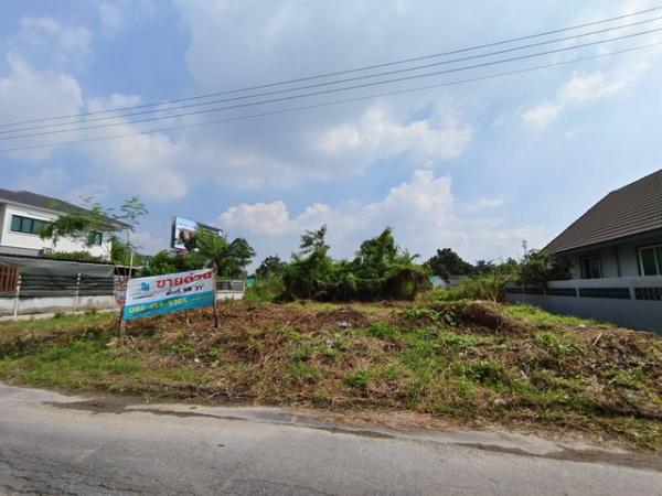 �ź��� �� kulchaya1