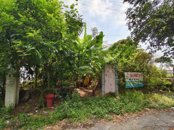 �ź��� �� kulchaya1