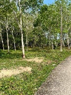 ���Թ ��ҧ