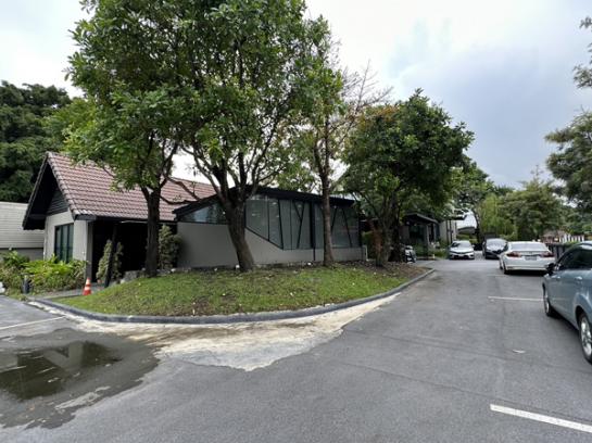 ��»����� �� ritthichai