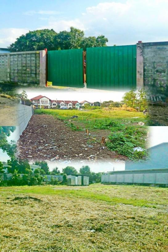 ������ �� Kenestate