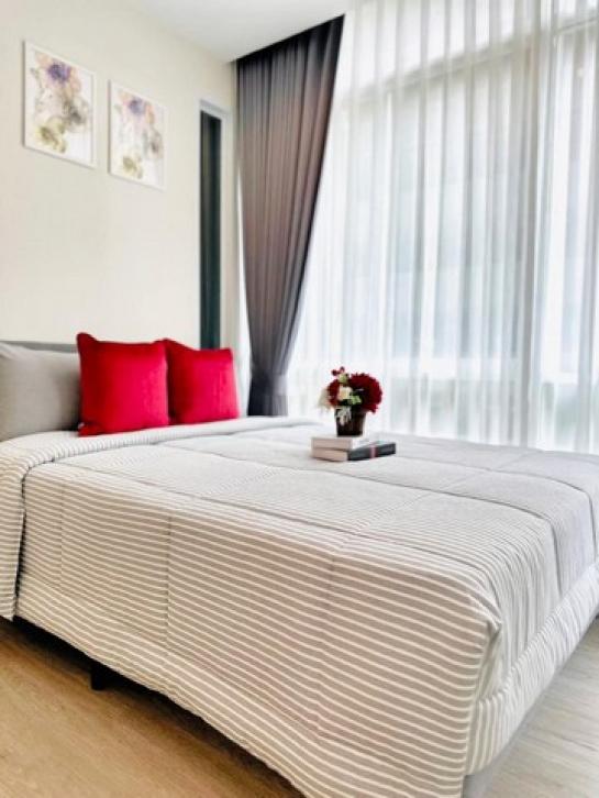 �͹�Swimming �ҧ��