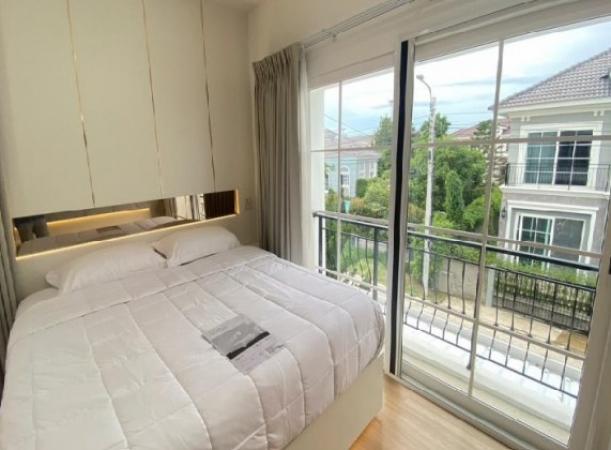 ⡴ѧ������ ���ͧ��طû�ҡ����طû�ҡ��