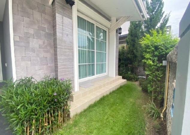 ⡴ѧ������ ���ͧ��طû�ҡ����طû�ҡ��