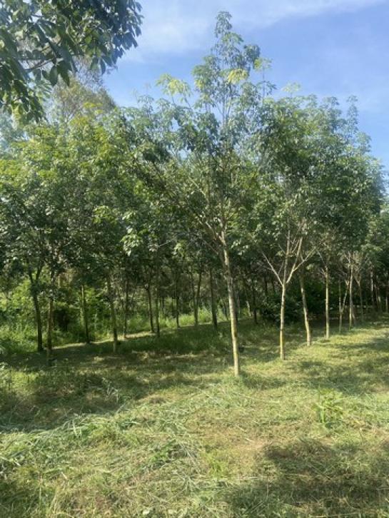 ������ �� Noname2023