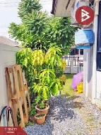 ��ǹ������� 34.50 ���ҧ��