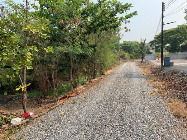 ขายที่ดิน 9,200,000 บาท ขายที่ดิน 9,200,000 บาท