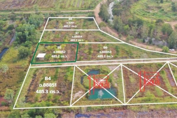 ��ù�¡ �� kulchaya1