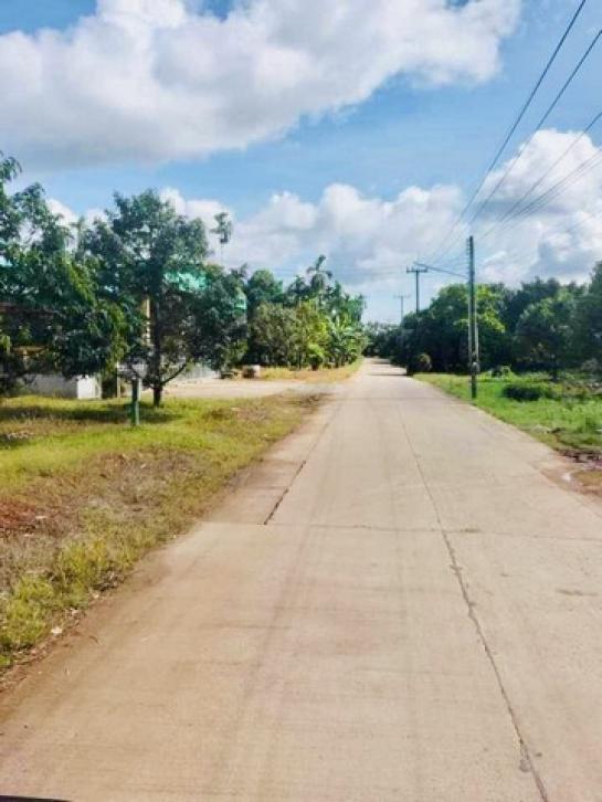 �ѹ����� �� kulchaya1