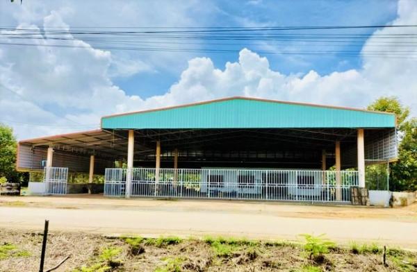 �ѹ����� �� kulchaya1