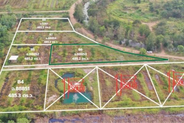 ��ù�¡ �� kulchaya1